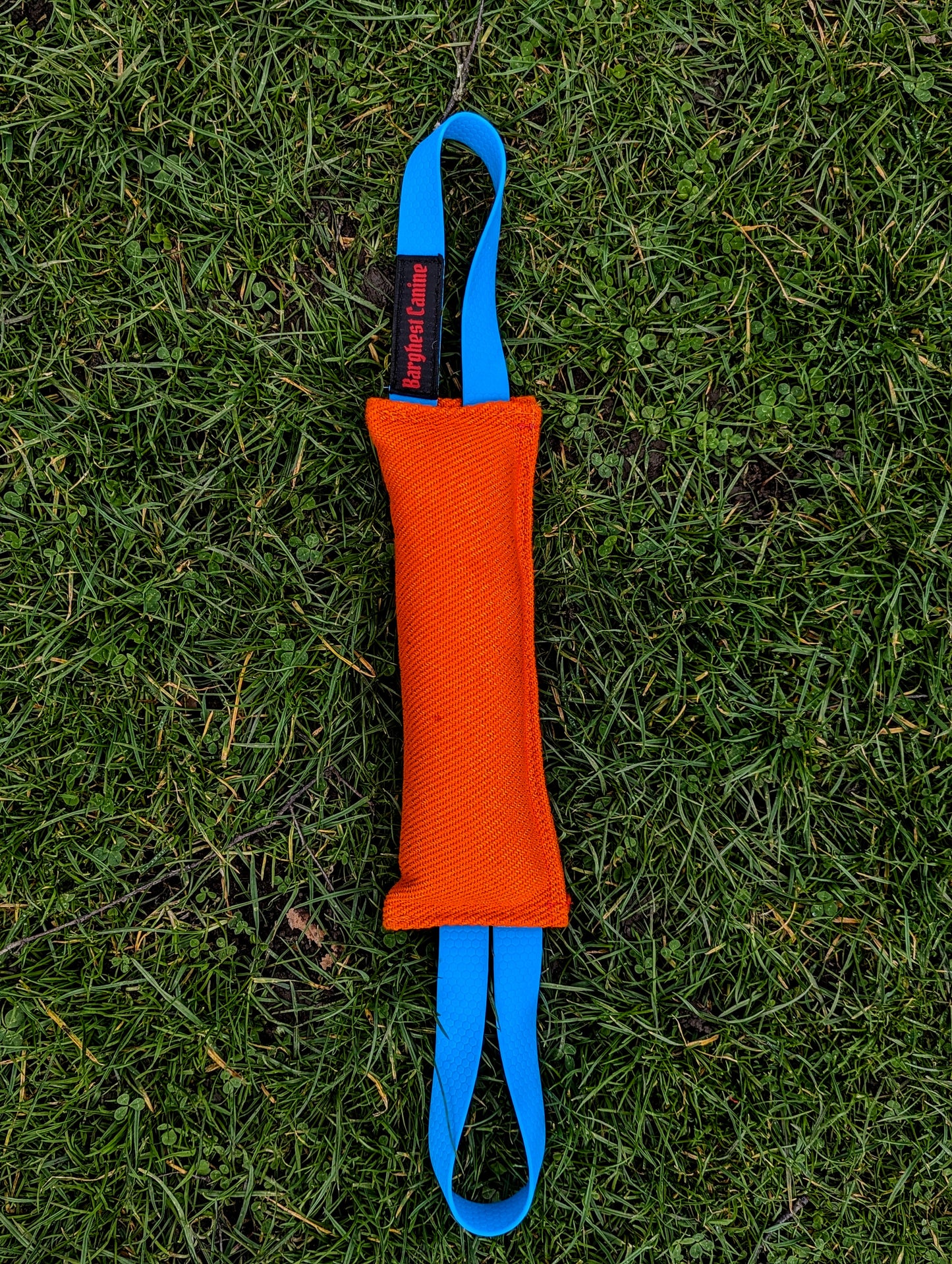 Barghest Two Handle Tug