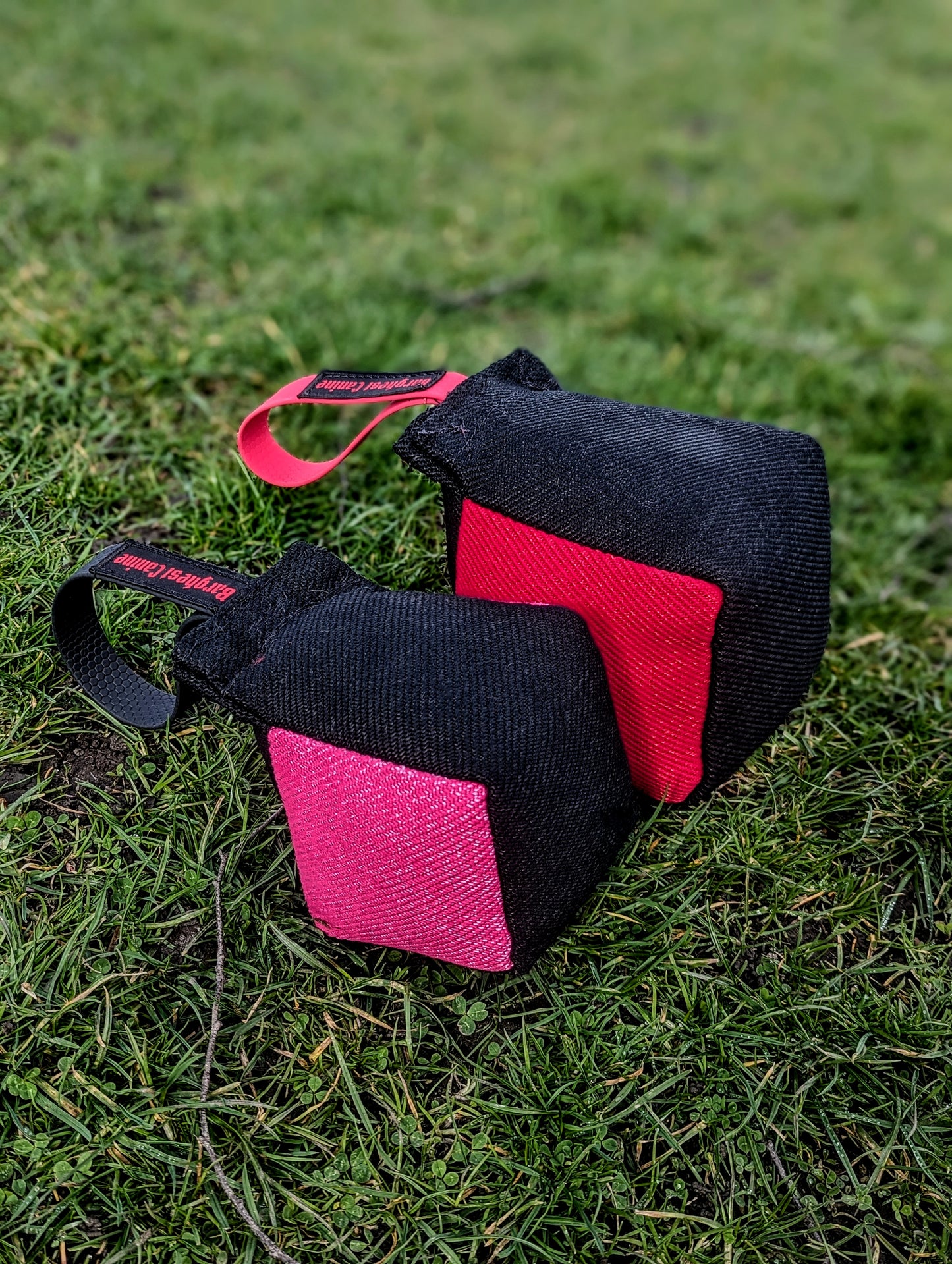 Barghest Cube Tug
