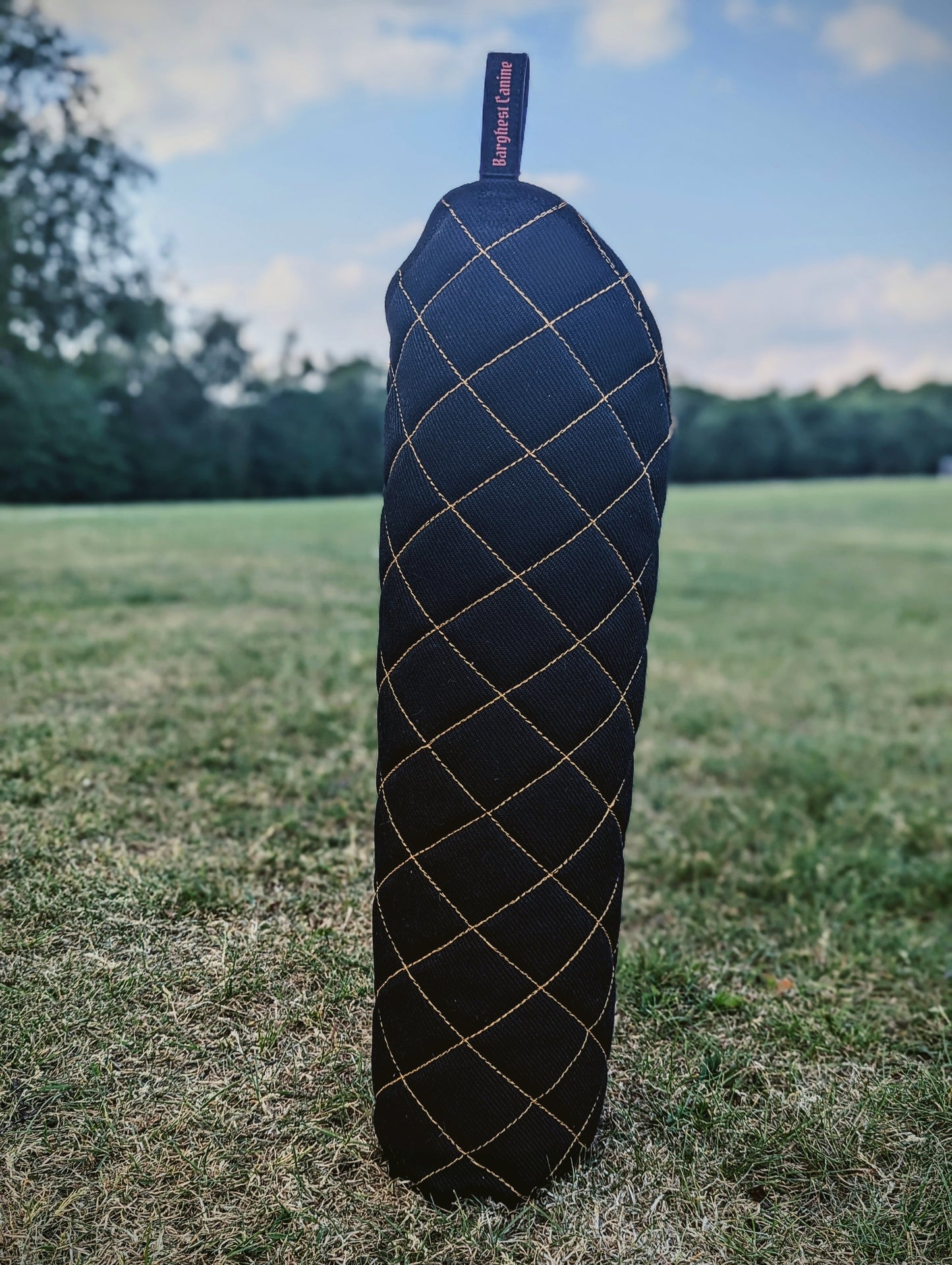 Barghest Custom Leg Sleeve