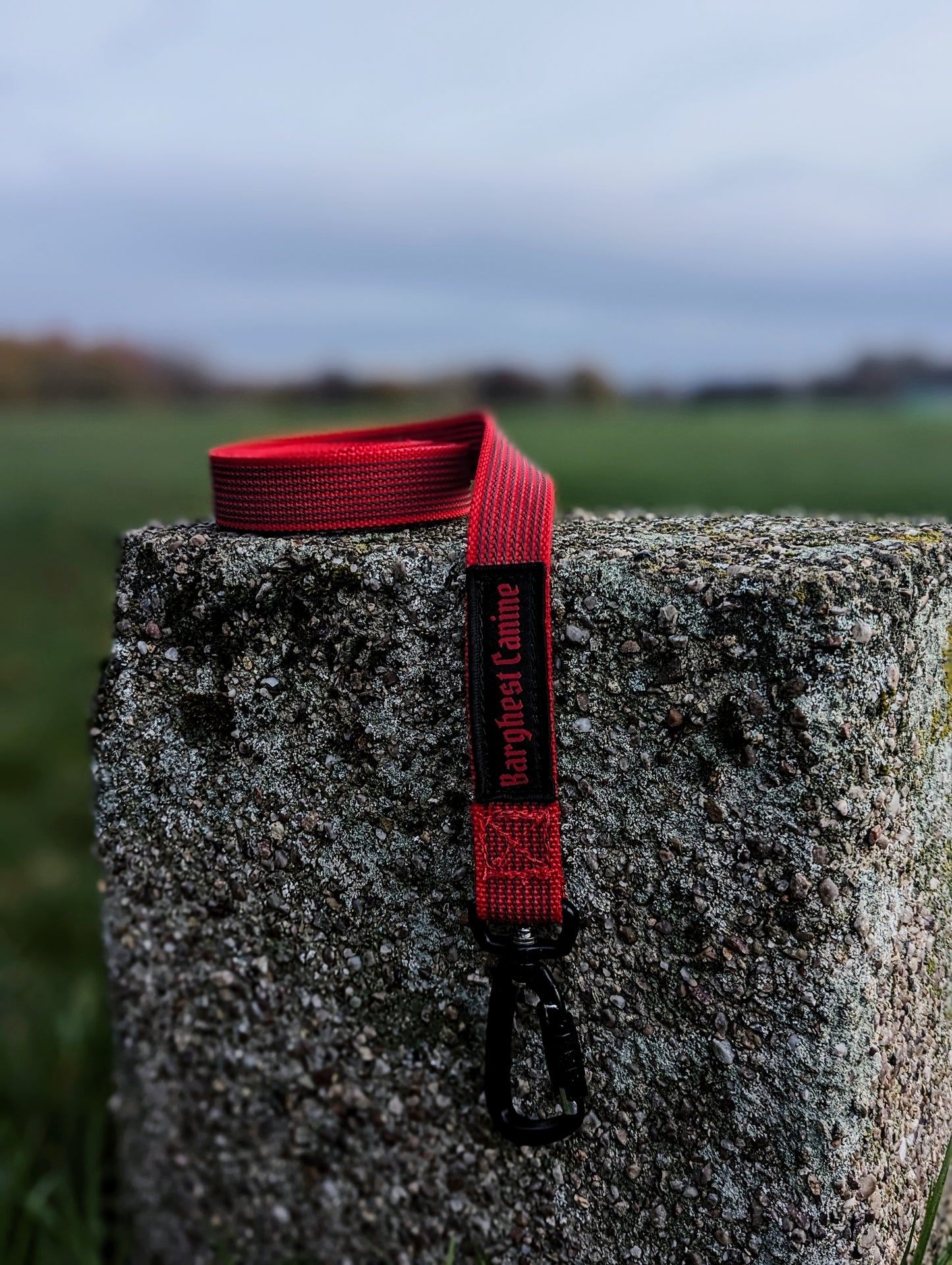 Barghest Working Line