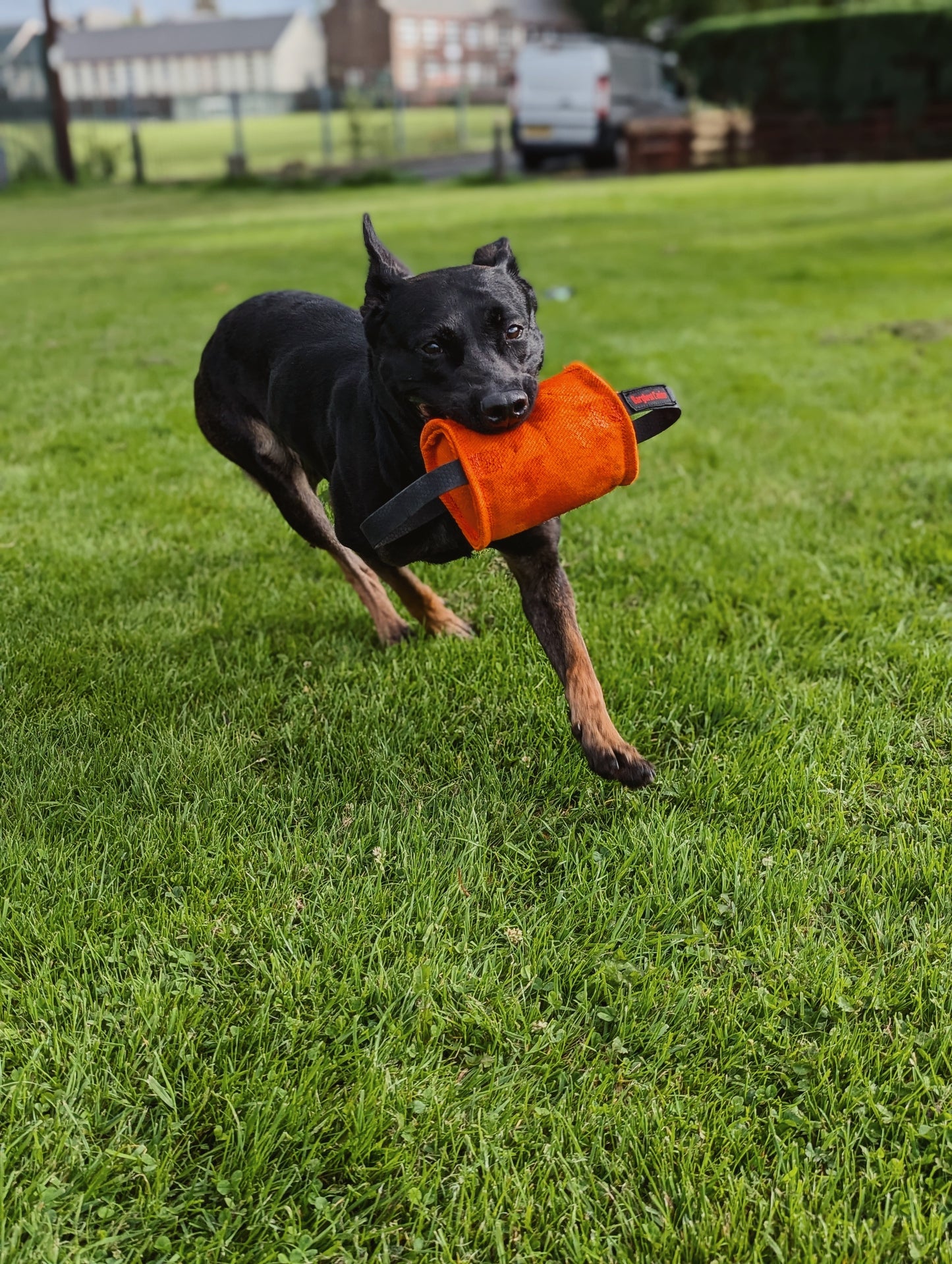 Barghest Barrel Tug - Small