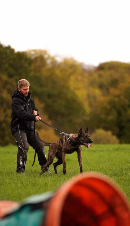 Barghest Working Line